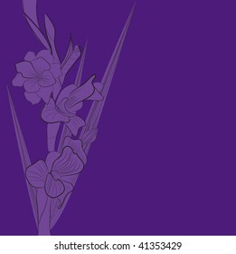 Dark blue decorative background with gladiolus flowers