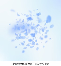 Dark blue flower petals falling down. Quaint romantic flowers explosion. Flying petal on blue sky square background. Love, romance concept. Attractive wedding invitation.