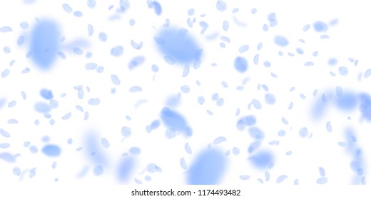 Dark blue flower petals falling down. Nice romantic flowers falling rain. Flying petal on white wide background. Love, romance concept. Delightful wedding invitation.