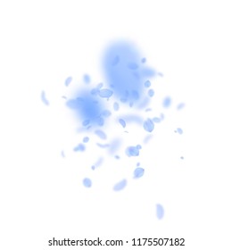 Dark blue flower petals falling down. Attractive romantic flowers explosion. Flying petal on white square background. Love, romance concept. Astonishing wedding invitation.