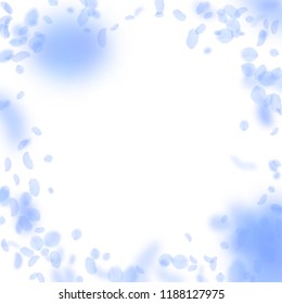Dark blue flower petals falling down. Likable romantic flowers vignette. Flying petal on white square background. Love, romance concept. Creative wedding invitation.