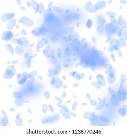 Dark blue flower petals falling down. Bold romantic flowers falling rain. Flying petal on white square background. Love, romance concept. Bewitching wedding invitation.