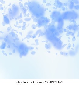 Dark blue flower petals falling down. Exotic romantic flowers gradient. Flying petal on blue sky square background. Love, romance concept. Charming wedding invitation.