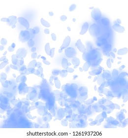 Dark blue flower petals falling down. Fancy romantic flowers gradient. Flying petal on white square background. Love, romance concept. Comely wedding invitation.