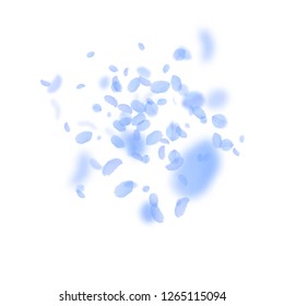 Dark blue flower petals falling down. Exquisite romantic flowers explosion. Flying petal on white square background. Love, romance concept. Artistic wedding invitation.
