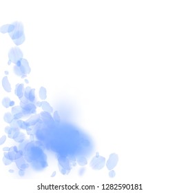 Dark blue flower petals falling down. Tempting romantic flowers corner. Flying petal on white square background. Love, romance concept. Adorable wedding invitation.