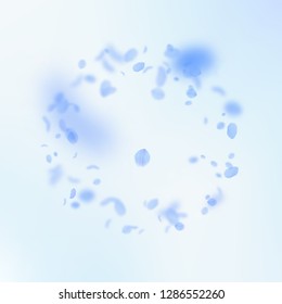 Dark blue flower petals falling down. Wondrous romantic flowers frame. Flying petal on blue sky square background. Love, romance concept. Bewitching wedding invitation.