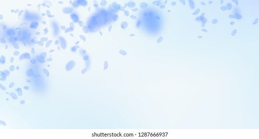 Dark blue flower petals falling down. Ideal romantic flowers falling rain. Flying petal on blue sky wide background. Love, romance concept. Delightful wedding invitation.