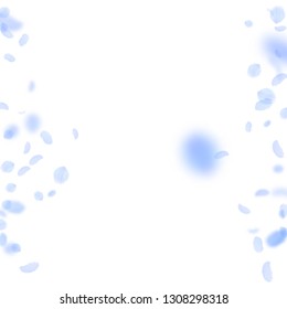 Dark blue flower petals falling down. Fantastic romantic flowers borders. Flying petal on white square background. Love, romance concept. Actual wedding invitation.