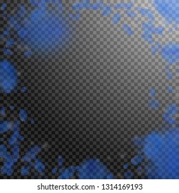 Dark blue flower petals falling down. Splendid romantic flowers vignette. Flying petal on transparent square background. Love, romance concept. Creative wedding invitation.