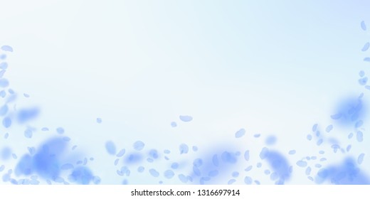 Dark blue flower petals falling down. Artistic romantic flowers falling rain. Flying petal on blue sky wide background. Love, romance concept. Delightful wedding invitation.