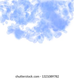 Dark blue flower petals falling down. Interesting romantic flowers semicircle. Flying petal on white square background. Love, romance concept. Cool wedding invitation.