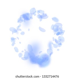 Dark blue flower petals falling down. Perfect romantic flowers frame. Flying petal on white square background. Love, romance concept. Bewitching wedding invitation.