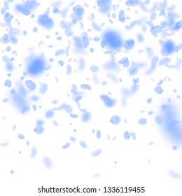Dark blue flower petals falling down. Fabulous romantic flowers gradient. Flying petal on white square background. Love, romance concept. Classic wedding invitation.
