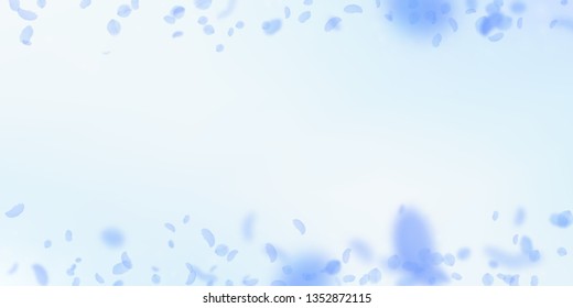 Dark blue flower petals falling down. Alluring romantic flowers border. Flying petal on blue sky wide background. Love, romance concept. Decent wedding invitation.