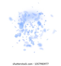 Dark blue flower petals falling down. Great romantic flowers explosion. Flying petal on white square background. Love, romance concept. Artistic wedding invitation.