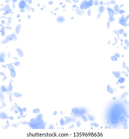 Dark blue flower petals falling down. Lively romantic flowers frame. Flying petal on white square background. Love, romance concept. Bizarre wedding invitation.