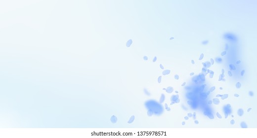 Dark blue flower petals falling down. Powerful romantic flowers explosion. Flying petal on blue sky wide background. Love, romance concept. Decent wedding invitation.