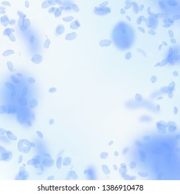 Dark blue flower petals falling down. Sublime romantic flowers vignette. Flying petal on blue sky square background. Love, romance concept. Cute wedding invitation.