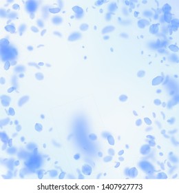 Dark blue flower petals falling down. Enchanting romantic flowers vignette. Flying petal on blue sky square background. Love, romance concept. Dazzling wedding invitation.