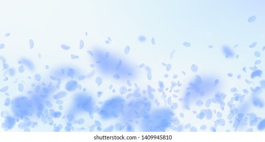Dark blue flower petals falling down. Creative romantic flowers falling rain. Flying petal on blue sky wide background. Love, romance concept. Delightful wedding invitation.