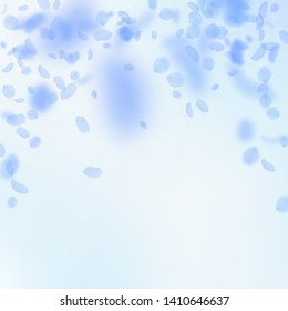 Dark blue flower petals falling down. Noteworthy romantic flowers falling rain. Flying petal on blue sky square background. Love, romance concept. Awesome wedding invitation.