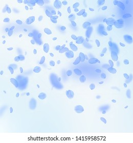 Dark blue flower petals falling down. Curious romantic flowers gradient. Flying petal on blue sky square background. Love, romance concept. Classic wedding invitation.