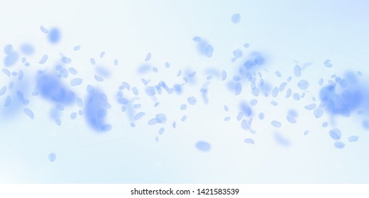 Dark blue flower petals falling down. Pretty romantic flowers falling rain. Flying petal on blue sky wide background. Love, romance concept. Delicate wedding invitation.