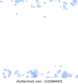 Dark blue flower petals falling down. Creative romantic flowers borders. Flying petal on white square background. Love, romance concept. Actual wedding invitation.