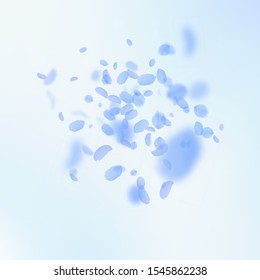 Dark blue flower petals falling down. Exceptional romantic flowers explosion. Flying petal on blue sky square background. Love, romance concept. Artistic wedding invitation.