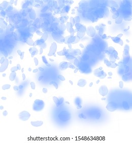 Dark blue flower petals falling down. Attractive romantic flowers gradient. Flying petal on white square background. Love, romance concept. Classic wedding invitation.