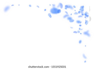 Dark blue flower petals falling down. Exceptional romantic flowers corner. Flying petal on white square background. Love, romance concept. Adorable wedding invitation.