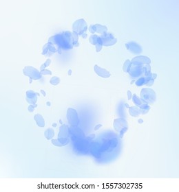 Dark blue flower petals falling down. Outstanding romantic flowers frame. Flying petal on blue sky square background. Love, romance concept. Bewitching wedding invitation.