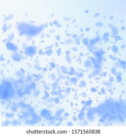 Dark blue flower petals falling down. Sublime romantic flowers gradient. Flying petal on blue sky square background. Love, romance concept. Breathtaking wedding invitation.