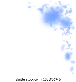 Dark blue flower petals falling down. Exceptional romantic flowers corner. Flying petal on white square background. Love, romance concept. Appealing wedding invitation.
