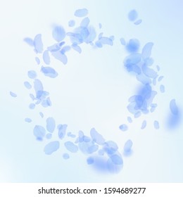 Dark blue flower petals falling down. Ecstatic romantic flowers vignette. Flying petal on blue sky square background. Love, romance concept. Curious wedding invitation.