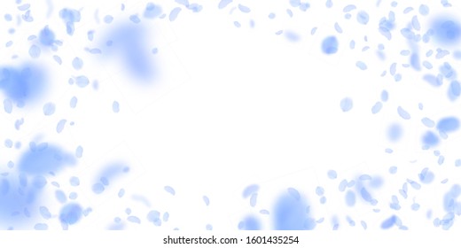 Dark blue flower petals falling down. Interesting romantic flowers vignette. Flying petal on white wide background. Love, romance concept. Dramatic wedding invitation.