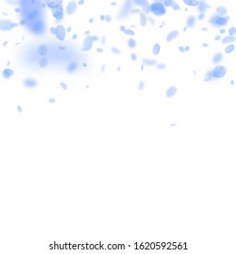 Dark blue flower petals falling down. Divine romantic flowers gradient. Flying petal on white square background. Love, romance concept. Cool wedding invitation.
