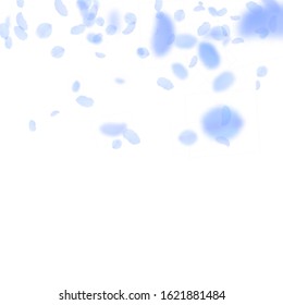 Dark blue flower petals falling down. Resplendent romantic flowers gradient. Flying petal on white square background. Love, romance concept. Comely wedding invitation.