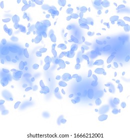 Dark blue flower petals falling down. Lovely romantic flowers gradient. Flying petal on white square background. Love, romance concept. Bold wedding invitation.
