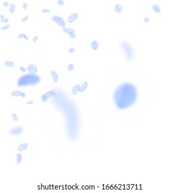 Dunkelblaue Blütenblätter fallen herunter. Unberührte romantische Blumenecke. Fliegendes Blütenblatt auf weißem, quadratischem Hintergrund. Liebe, Liebeskonzept. Erstaunliche Hochzeitseinladung.