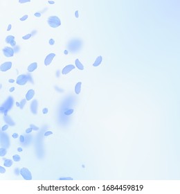 Dark blue flower petals falling down. Surprising romantic flowers gradient. Flying petal on blue sky square background. Love, romance concept. Brilliant wedding invitation.