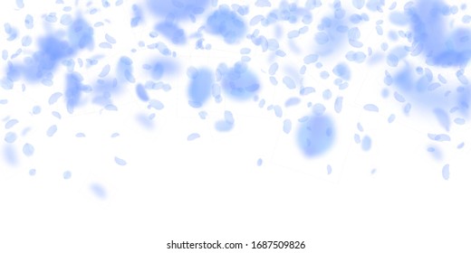 Dark blue flower petals falling down. Ideal romantic flowers falling rain. Flying petal on white wide background. Love, romance concept. Delicate wedding invitation.