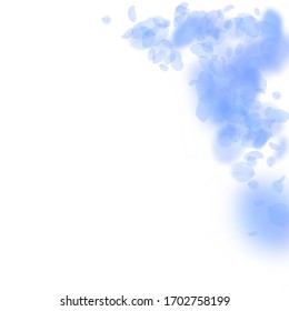 Pétalos de flores azules oscuros cayendo. Increíble rincón de flores románticas. Petal volando sobre fondo cuadrado blanco. Amor, concepto romántico. Atractiva invitación de boda.