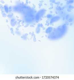 Dark blue flower petals falling down. Fancy romantic flowers semicircle. Flying petal on blue sky square background. Love, romance concept. Cool wedding invitation.