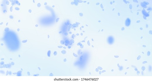 Dark blue flower petals falling down. Gorgeous romantic flowers explosion. Flying petal on blue sky wide background. Love, romance concept. Decent wedding invitation.