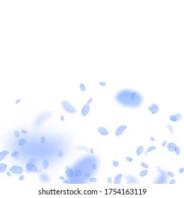 Dark blue flower petals falling down. Excellent romantic flowers gradient. Flying petal on white square background. Love, romance concept. Brilliant wedding invitation.
