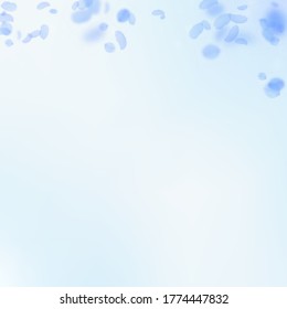 Dark blue flower petals falling down. Powerful romantic flowers gradient. Flying petal on blue sky square background. Love, romance concept. Captivating wedding invitation.