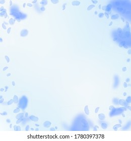Dark blue flower petals falling down. Vibrant romantic flowers vignette. Flying petal on blue sky square background. Love, romance concept. Cool wedding invitation.
