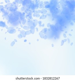Dark blue flower petals falling down. Splendid romantic flowers gradient. Flying petal on blue sky square background. Love, romance concept. Bizarre wedding invitation.